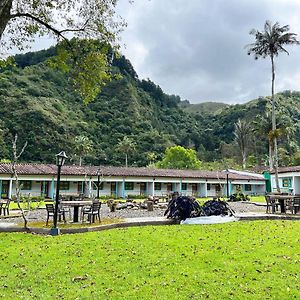 Hotel Momotus Cocora